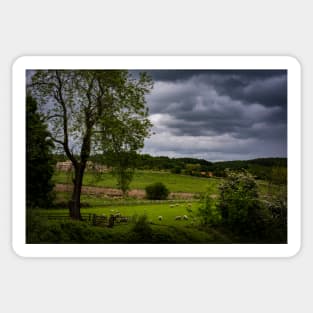 County Durham Countryside Sheep Sticker